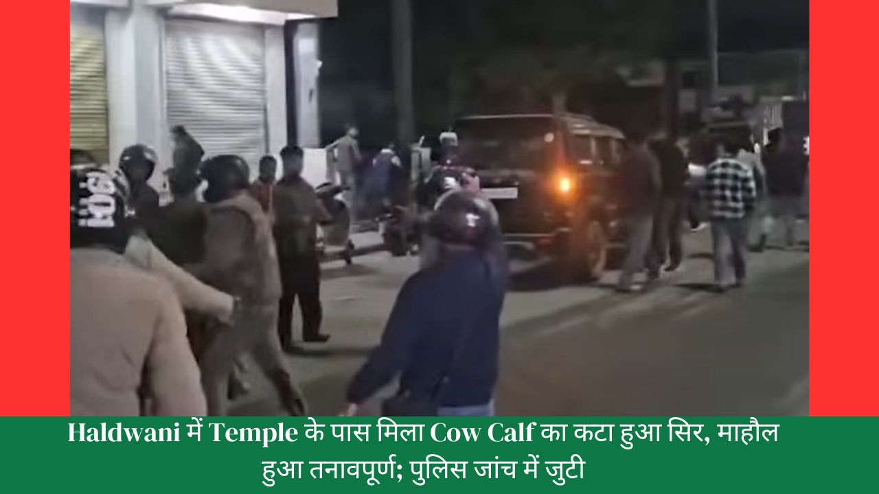 Haldwani में Temple के पास मिला Cow Calf का कटा हुआ सिर, माहौल हुआ तनावपूर्ण; पुलिस जांच में जुटी